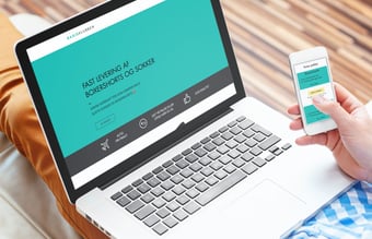 Webshop med salg af boxershorts og sokker på abonnement - omsat for 17.500 kr. 