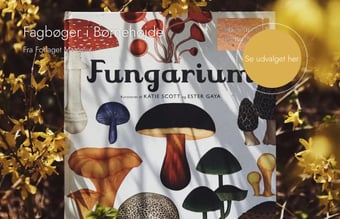 Eventyrlig Leg - Webshop med økologisk og bæredygtig legetøj