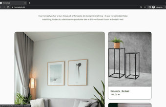 HOMESTYLE l 100% køreklar dropshipping hjemmeside til salg