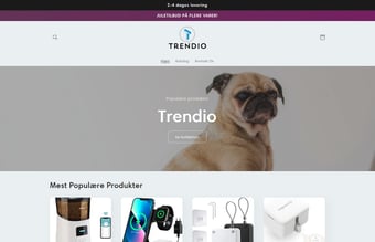 Trendio | Køreklar webshop | Stort udviklingspotentiale