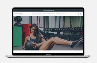 Dansk dropshipping webshop - 350K omsætning - Hjemmefit.dk