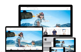 Helt nyt dropshipping koncept klar til lancering