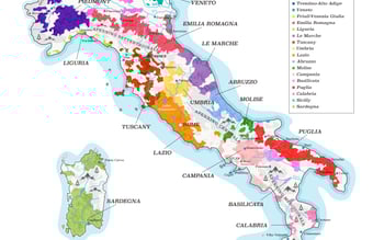 Platform: Salg af vin direkte fra vinbonden til kunden