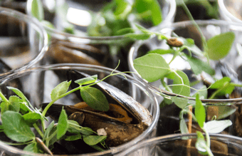 Midt & østjysk cateringvirksomhed 