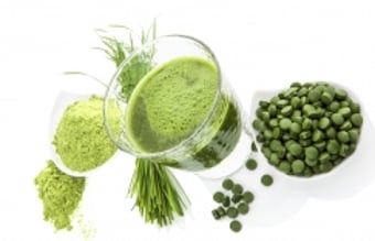 Helsekost webshop inkl varelager