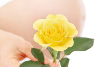 Webshop med amme- og graviditetsundertøj