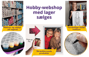 Webshop indenfor populær niche-hobby sælges