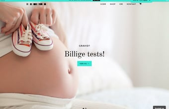 Vil du have 20% af en webshop?