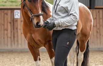 Ridetøjs webshop 4 år - Elgorre.dk - med eget brand