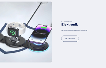 Sælger denne dropshipping webshop med 2-4 dages levering