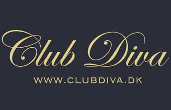 Clubdiva.dk - Webshop med modetøj og 39.000 Facebook følgere - Løn på ca. 24.000 kr. pr. måned