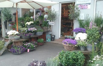 Unik Blomsterforretning stærk i fremdrift sælges. 