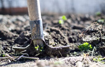 Webshop indenfor haveartikler med omsætning sælges