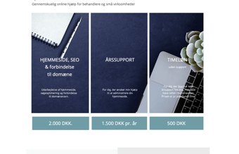 Nystartet webbureau med voksende kundebase 