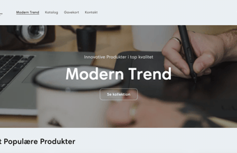 Dropshipping Webshop til salg