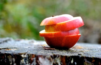 Hobbyvirksomhed med overskud og potentiale til meget mere!