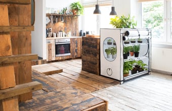 Webshop og butik med salg af gro udstyr i hele skandinavien - Resultat før skat på 1.000.000 kr. 