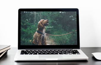 Charlietiptoe.com - Eksklusivt hundeudstyr sælges - Omsætning på 42.000 kr.