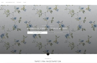 10 år gammel webshop med fast omsætning sælges billigt