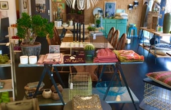 Attraktiv Livsstilsbutik med tilhørende Webshop