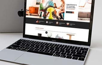 Webshop på ren dropshipping samt WordPress - 150+ produkter 