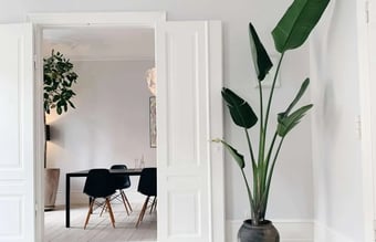 Stueplante og krukke webshop 