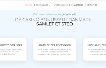 Casinoaffiliate side med over 40.000 i indtjening den første måned