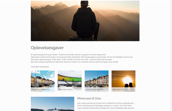 Affiliate gaveunivers med stort overskud - 31.000 organiske besøgende pr måned samt 70 i domain rating