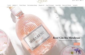 Billig webshop + ApS