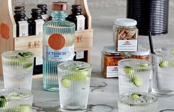 Danmarks førende specialiserede gin og tonic webshop til salg - Omsætning 2020: 1.636.490 DKK