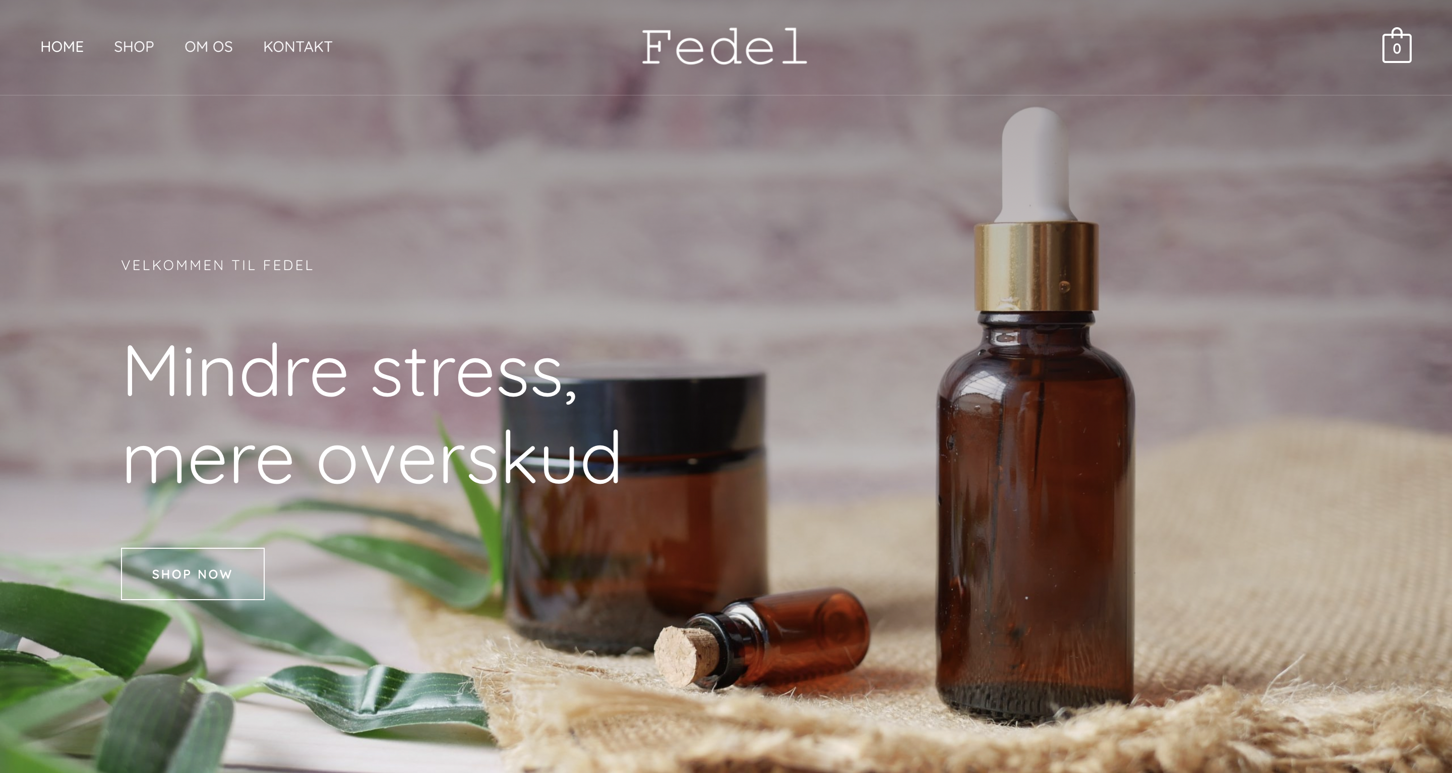 Dropshipping virksomhed med website og super produkt