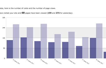 Webshop med høj omsætning