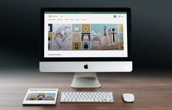 mygoods.dk - Dropshipping webshop med +29.000 forskellige varer - Omsætning på 45.000 kr.