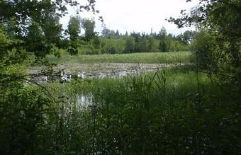 Dansk  ejere som ejer en LETISK ejendom selskab i Letland til salg