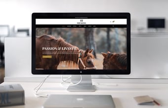 RideAlong.dk - Webshop med udstyr til hest og rytter - Produktavancer på 40-50%.