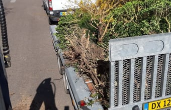 Salg af lille håndværksvirksomhed/Multiservice firma.(aktiver)