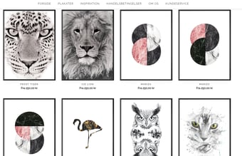 Plakat webshop med unikt navn og dropshipping aftale