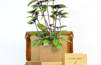 Mywindowfood ApS (Webshop) - Dyrk urter og grøntsager i din vindueskarm på abonnement (FLYTBAR virksomhed)