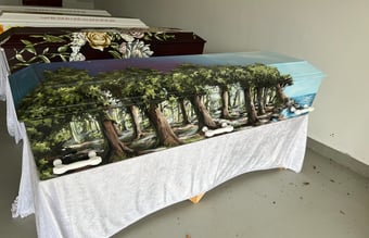 Ditsidsteminde.dk - Unikt koncept med kister