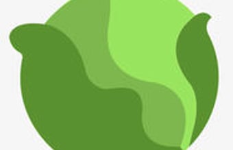 Veggo.dk - Vegansk/vegetar app i voksende marked