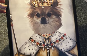 SJOVPLAKAT.DK til salg 