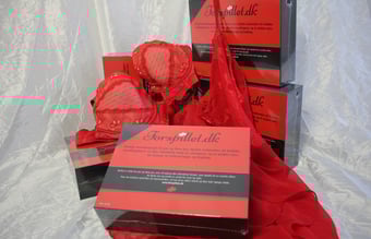 Forspillet Erotisk spil