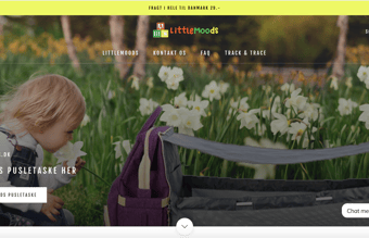 Klargjort Dropshipping Webshop med salg af Pusletaske/bord