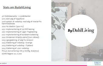 Webshop i 4 lande sælges (under konkurs)