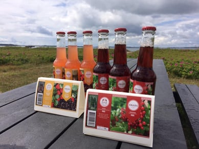 CHAOS Soft Drinks - sodavandsbrand med opskrifter, design og professionel, køreklar webshop 