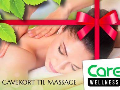 Kommer du fra Thailand? - Start en Care Wellness Massage i din by.