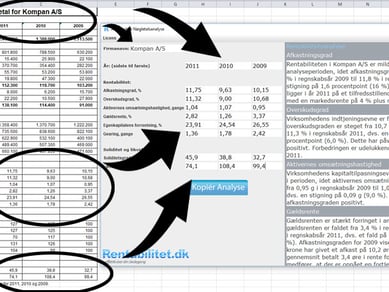 Rentabilitet.dk - passiv indkomst - Årlig omsætning ca. 22.500 kr.