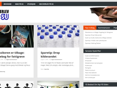 Overlevpaasu.dk - Studiewebsite med adgang til 29000 danske studerende.