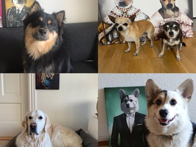 Sjovplakat.dk til salg.