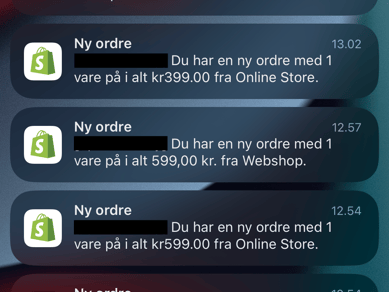 Webshop med 50.000 ordrer og 17 mio. kr. i omsætning indenfor sport & sundhed